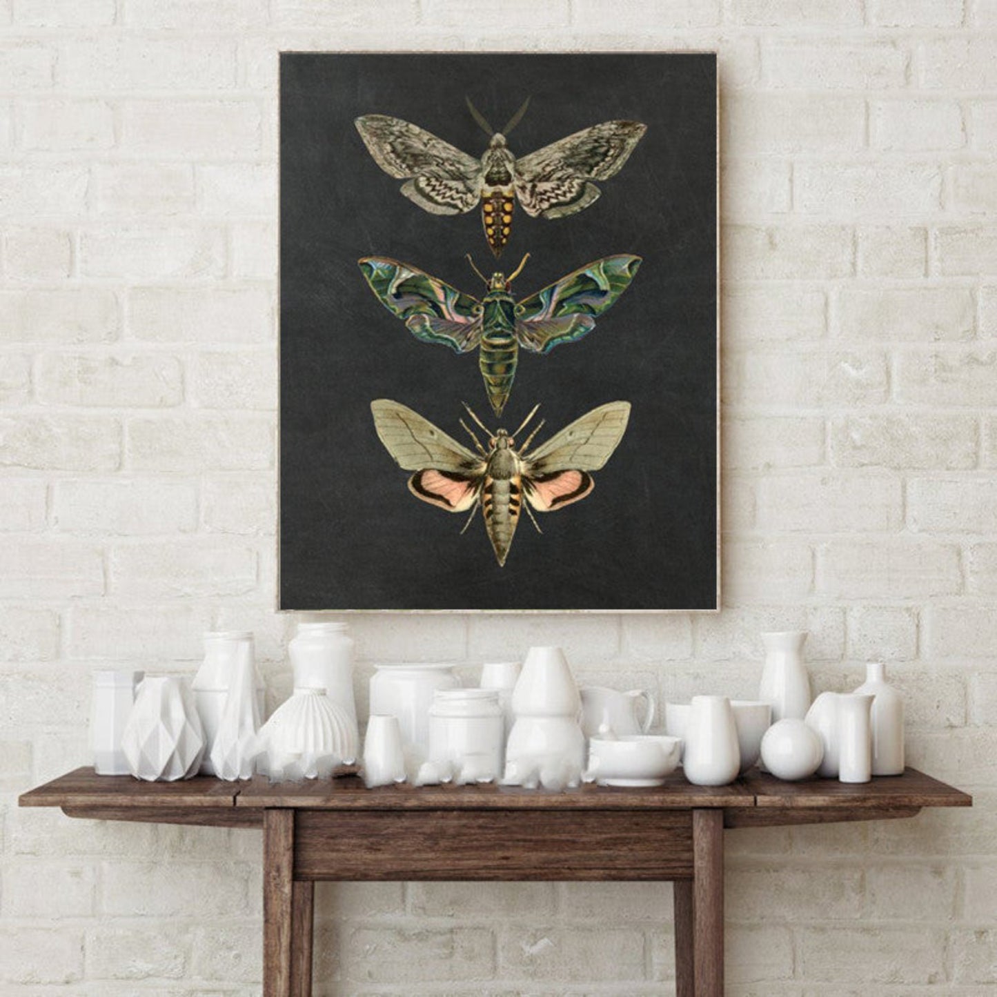 AURORA | Lámina decorativa